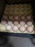 葛溪正太富硒鸡蛋新鲜无公害鲜  源头直发江西土鸡蛋散养礼盒柴鸡蛋 富硒鲜鸡蛋10枚*50g/枚 实拍图
