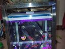 长锐生态鱼缸客厅桌面小型金鱼缸全套家用一体缸自循环免换水 MC360升级版【长36x宽23x高38cm】 实拍图
