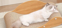 憨憨乐园猫抓板猫窝一体耐磨不屑猫爪窝立式双层瓦楞纸猫窝四季通用窝沙发 实拍图