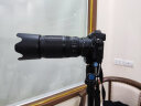 尼康/Nikon AF-S 70-300 VR  全画幅 远摄长焦变焦 二手单反相机镜头 95新AF-S70-300f/4.5-5.6GVR 晒单实拍图