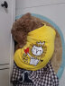 嬉皮狗（hipidog） 狗狗衣服秋冬季泰迪衣服小型犬保暖打底衫防掉毛比熊幼犬衣服 黄色条纹 L (建议体重8-12斤) 实拍图