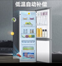 统帅（Leader）海尔出品180升两门二门双门家用小型电冰箱超薄宿舍租房节能小冰箱BCD-180LLC2E0C9 实拍图