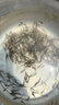 中科三号鲫鱼苗水产种苗黄金鲫中科五号工程鲫高背土鲫鱼苗活体鱼苗批发 中科鲫2-4厘米1200条 实拍图