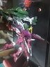 万代（BANDAI） 高达拼装模型 hg 1/144 HGUC GT CE敢达玩具 男孩机器人金刚玩具 231 无限正义 实拍图
