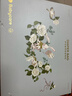babycare妈咪包多功能母婴外出轻便包双肩背包妈妈包 星灰绿云朵大号 实拍图