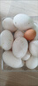 绿田逐河北鹅蛋新鲜6枚 散养土鹅蛋生鲜农家特产 1.5斤生鹅蛋 源头直发 实拍图