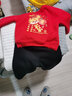 真维斯儿童加绒套装秋冬款男孩新年款拜年服洋气卫衣保暖卫裤男童 【新年套装】红+黑/蛇字福 120 实拍图