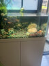 德克（D&A）溪流缸野采造景大型立式客厅生态底滤鱼缸一体缸自循环免换水全套 星空银（标配款） 80x50x125cm 实拍图