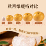 京鲜生 长城羊脂秋月梨 正宗特大果 净重7斤 5-9粒 生鲜水果礼盒 实拍图