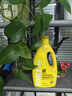 史丹利【京东专供】营养液花肥料家用盆栽植物通用型水培花卉绿植1L 实拍图