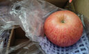 格沃斯（GEWOSI）陕西老树秦冠粉苹果香甜软糯宝宝老人刮泥吃新鲜水果 净重8.5斤特大果 粉面沙甜 实拍图