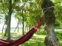魔铁（MOTIE）户外吊床露营双人加厚加宽绑绳帆布三人单人儿童成人野外休闲秋千 三人款防侧翻红彩条-加固鸭嘴扣 实拍图