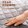 环鼎水暖电热毯水暖毯水循环电褥子炕单双人防水防漏电不上火床垫2024 1.8*3.0m 实拍图