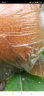 ZXC河北魏县特产红梨正宗红梨铁皮梨冰糖煮红皮梨炖梨汤煮梨炖酸梨 2.5kg家庭装中果 晒单实拍图