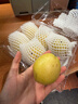 京鲜生 新疆库尔勒香梨6粒 二级果 单果80-100g 生鲜水果 实拍图