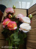 迷.妆牡丹仿真花绢花室内假花干花玫瑰花花束餐桌花摆设客厅装饰花摆件 10支牡丹（香槟粉红奶粉玫红） 实拍图