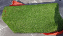 夺秀 仿真草坪地毯塑料假草皮 人造草坪阳台户外人工草坪幼儿园假草坪 【不掉渣】20MM春草/平方 每平方尺寸（2米*0.5米） 实拍图