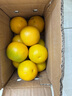壹棵弘芯正宗高山脐橙橙子应季新果时令湖北新鲜水果手剥橙子生鲜整箱 严选精品果8-10个 单果约80g+ 实拍图