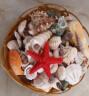 派乐特 贝壳鱼缸造景装饰摆件套餐水族箱底沙砂石海螺 含篮子 实拍图