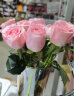 琐拉情人节鲜花速递红玫瑰花束求婚生日礼物送女友全国同城花店配送 33朵粉玫瑰花束—满天星款 实拍图