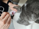 维克耳漂猫咪洗耳液猫耳朵清洁狗狗宠物洁耳水幼犬去耳螨耳臭滴耳油 耳漂60ml+耳肤灵10g 实拍图
