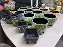 仟尚艺 多肉花盆陶瓷大号创意粗陶透气多肉植物大口径小老桩花盆套组合 绚彩组合5个 实拍图