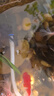 海格瑞假山盆景微型小水泵鱼缸潜水泵过滤泵风水轮迷你抽水泵家用摆件泵 新款8瓦 实拍图