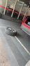 邓禄普（DUNLOP）轮胎/汽车轮胎185/70R14 SP-T1 88H 适配五菱宏光/五菱之光 实拍图