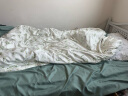 九洲鹿 床上三件套 被套150x200cm学生宿舍单人床被罩小碎花0.9/1.2米床 实拍图