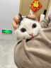 小宠 宠物益生菌50g 狗狗猫咪肠胃宝 1500亿活性益生菌 幼宠新生小犬幼猫 肠胃呵护 【第六代】肠胃宝5g*10袋/盒 实拍图