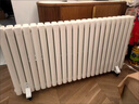 臻泊迩取暖器注水式电暖气片电暖器壁挂立式水暖家用全屋取暖大面积升温插电节能省电加水循环散热器烘衣 12柱手动旋钮机械款【12-14㎡】 实拍图