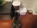 玲珑猫宠物智能可视自动喂食器 猫碗猫粮狗粮定时定量猫咪自动投食器 智能版+2.5L饮水机 实拍图