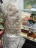 YEE鱼缸过滤材料细菌屋水族箱石英滤材硝化细远红外周转箱过滤器滤材 多边小号买5送5【共10根】远红 实拍图