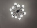ARROW箭牌照明 吊灯LED客厅灯北欧魔豆分子灯餐厅卧室灯灯具JPXZ450 晒单实拍图