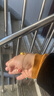 CHARLES&KEITH清新柠檬耳环女士CK5-42120283 Yellow黄色 晒单实拍图