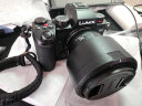 松下（Panasonic） S5 全画幅微单/单电/无反数码相机 L卡口（双原生ISO） S5+【24-105M+50M】双镜头白盒套装 实拍图