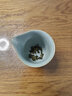 茶立莱台湾高山乌龙茶大禹岭茶叶150克简装花香好回甘快 阿里山茶 150g*1袋 简装150g 实拍图