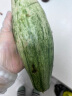 京鲜生 羊角蜜甜瓜 1.5kg装 单果400g起 生鲜水果 实拍图