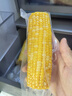 京鲜生甘肃水果玉米220g*8棒真空甜玉米棒低脂代餐免煮开袋即食源头直发 实拍图