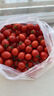 新鲜采摘圣女果樱桃小番茄蔬菜 带箱250g 实拍图