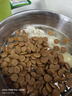 皇家狗粮消化呵护小型犬成犬全价功能粮调节肠道MD30 【消化呵护】小型成犬粮MD30 2kg 实拍图