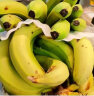 觅莱云南高山甜香蕉 香甜软糯青绿皮芭蕉粉蕉皇帝当季蕉新鲜水果 一级青香蕉 5斤 晒单实拍图