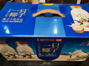光明 一只椰子 牛乳饮品牛奶 250ml*10  送礼佳品 低温牛乳饮品 礼品 实拍图