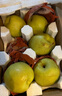 南步河北赵县雪花梨 赵州特产冰糖雪梨秋月梨香梨鸭梨皇冠梨新鲜水果 8.5斤 精选大果【单果280g+】 实拍图