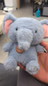 蜜乐糖（miletang）毛绒玩具香糯米墩墩大象桌伴娃娃可爱桌面小象玩偶女生陪睡布娃娃 实拍图