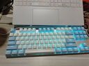 达尔优EK815 机械键盘 87键/108键 游戏发光有线青轴黑轴108键吃鸡电竞87键网吧同款 EK815-87键-白蓝【茶轴】 实拍图