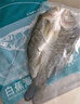 钓鱼记开背海鲈鱼2.4斤/3条 三去净重 冷冻 生鲜 鱼类 海鲜水产 实拍图