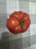 京地达山东普罗旺斯西红柿4.5斤彩箱装自然熟沙瓢口感番茄 源头直发 实拍图