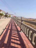 水泥仿木护栏池塘河道仿藤护栏农村混凝土栏杆景观园林仿树纹围栏 仿木护栏定制 实拍图