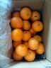 广西武鸣沃柑2025橘子新鲜水果当季一级沙糖蜜橘砂糖柑橘大果 特大果(单果径70mm+) 净重3斤 实拍图